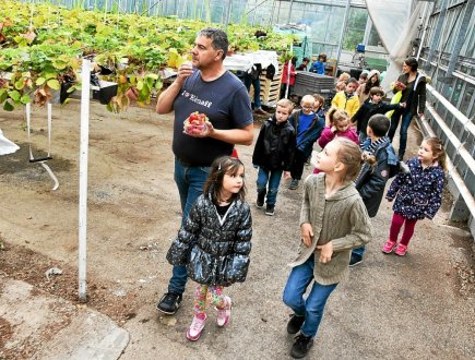 Ecole Diwan. L’Europe finance les fraises et les légumes bio.